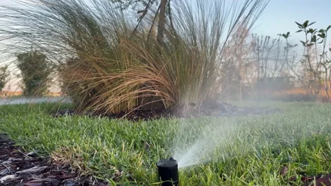 Automatic Garden Lawn sprinkler in action watering grass. Stock Footage 237992977