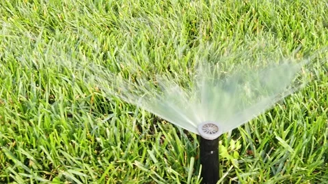 Automatic Garden Lawn sprinkler system is watering grass, grown level shot in Stock Footage 135767395