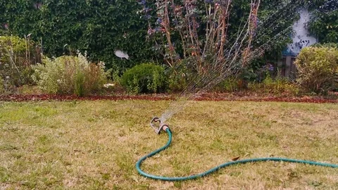 Automatic garden sprayer watering the grass lawn, basic gardening equipment,  Video stock 112792508