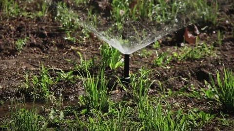 Automatic Garden sprinkler sprays water on spare grass. Stock Footage 197003628