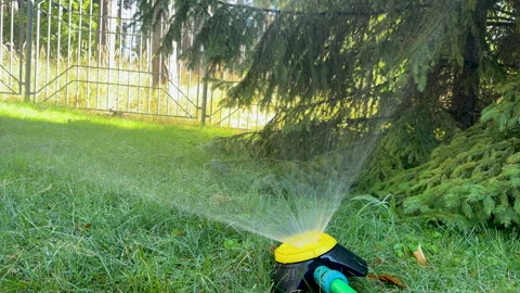 Automatic garden sprinkler watering the green grass in the backyard Stock Footage 341290553