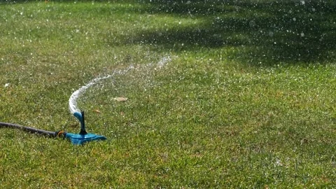 Automatic garden sprinkler waters the green lawn Stock Footage 344448247