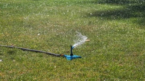Automatic garden sprinkler waters the green lawn Stock-Footage 344448272