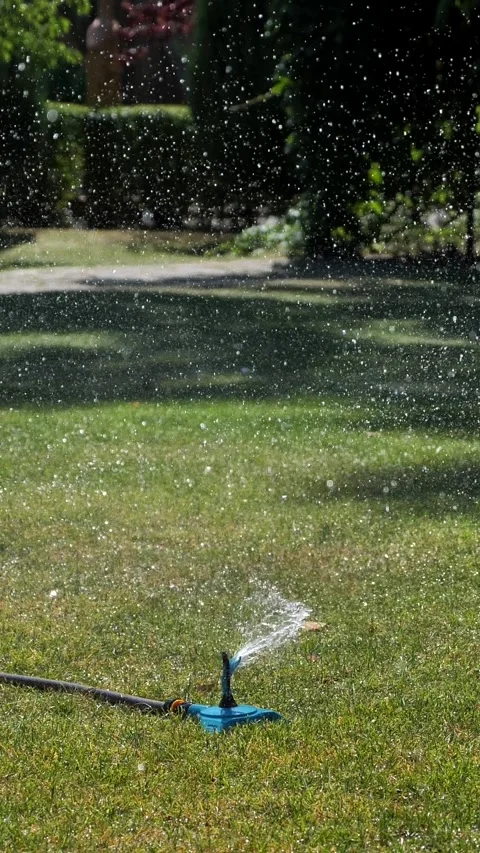Automatic garden sprinkler waters the green lawn Stock Footage 344448277