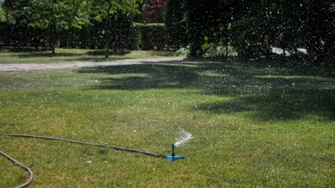 Automatic garden sprinkler waters the green lawn Stock Footage 344448295