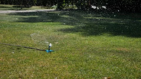 Automatic garden sprinkler waters the green lawn Stock Footage 344448389