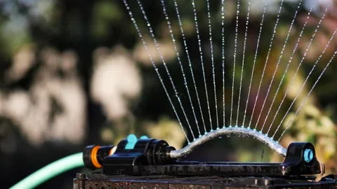 Automatic garden watering with sprinkler Stock Footage 314998693