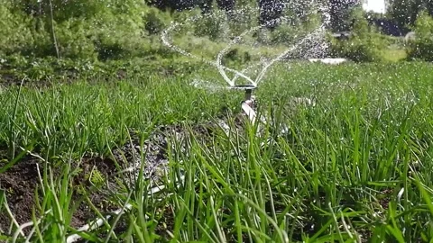 Automatic garden watering system, watering the garden. Stock Footage 172165841