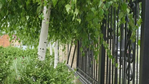 Automatic gates mechanism will open automatically Video stock 77837691