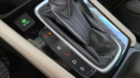 Automatic gear shift selector Stock Footage 340809295