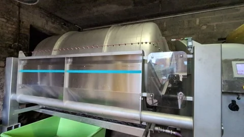 Automatic grape pressing procedure. Stock Footage 291073888