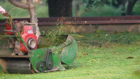 Automatic Grass Cutting Machine Trimming Lawn in Park Stock Footage 323099068