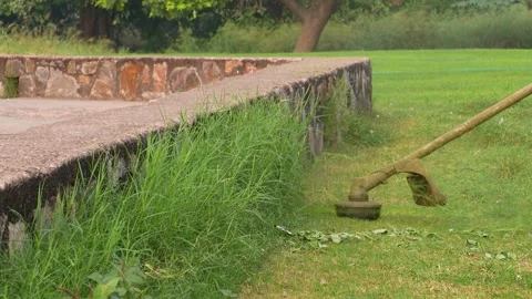 Automatic Grass Cutting Machine Trimming Lawn in Park Stock Footage 323099297