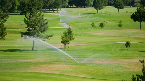 Automatic high-pressure water sprinkler at green golf course watering the grass. Stock Footage 255927319