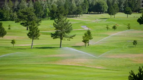 Automatic high-pressure water sprinkler at green golf course watering the grass. Stock Footage 255929109