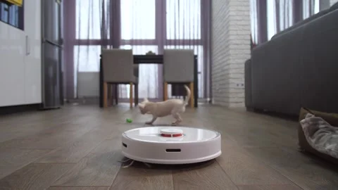 Automatic hoover cleaning floor in apartment Stock Footage 145016627