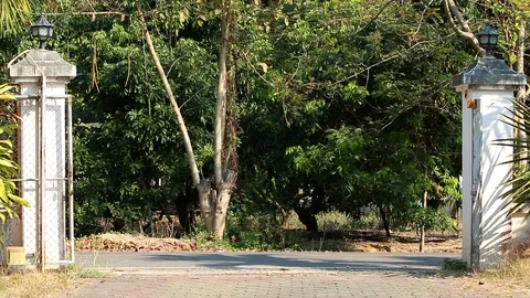 Automatic house gate closing  , outdoor  Chiangmai Thailand Stock Footage 123989068