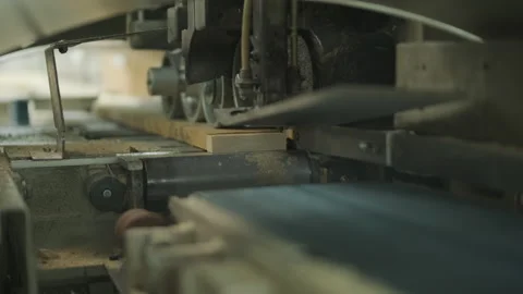 Automatic Industrial Wood Cutting Machine with Feeding Roller Stock Footage 332301174