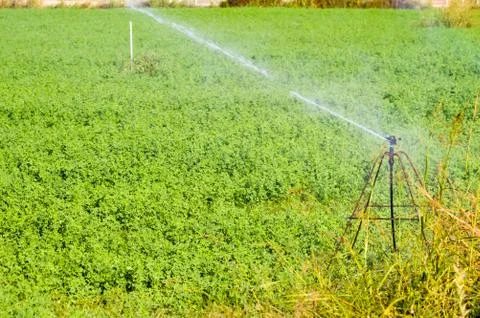 Automatic irrigation of crop fields Stock Photos