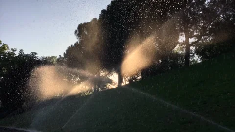 Automatic irrigation in a park Stock Footage 311564002