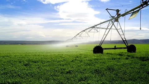 Automatic Irrigation System in Action Stock Footage 276606515