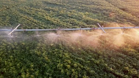 Automatic irrigation system, agricultural pump for irrigation of soybean fields Stock Footage 137172018