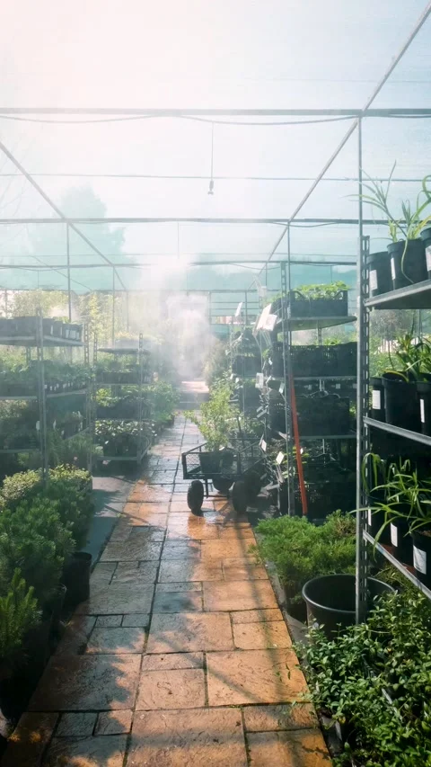 An automatic irrigation system at a garden center. Daily watering of seedlings Stock Footage 319290019