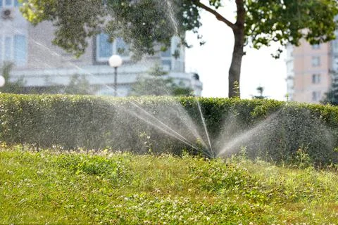 An automatic irrigation system irrigates the green lawn in the young garden o Stock Photos