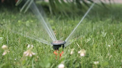 Automatic irrigation system, lawn sprinkler sprayer in action watering grass and Stock Footage 123501976