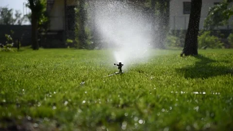 Automatic irrigation system, lawn sprinkler sprayer in action watering grass Stock Footage 131143733