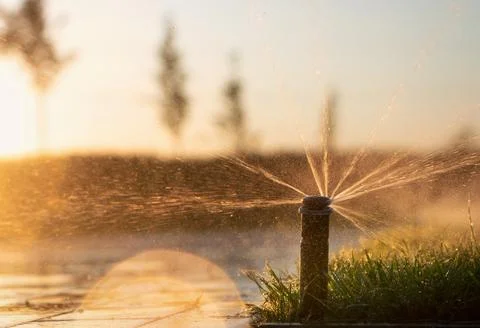 Automatic irrigation system spraying water on lawns to nourish the grass Stock Photos