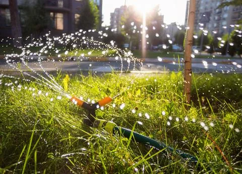 Automatic irrigation system spraying water on lawns to nourish the grass Stock Photos