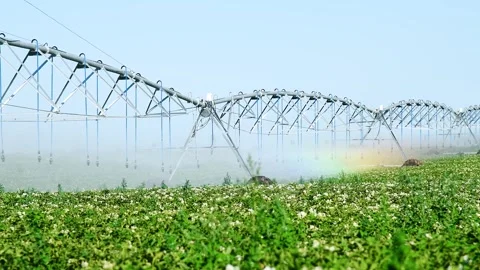 Automatic irrigation system (sprinkler system) that waters plants in a pota.. Stock Footage 324854576