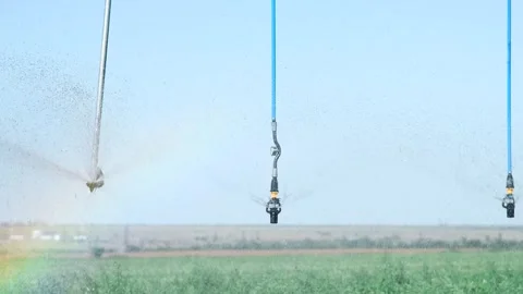 Automatic irrigation system (sprinkler system) that waters plants in a pota.. Stock Footage 324854601
