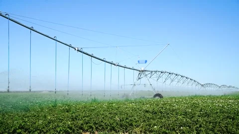 Automatic irrigation system (sprinkler system) that waters plants in a pota.. Stockbeeldmateriaal 339766191