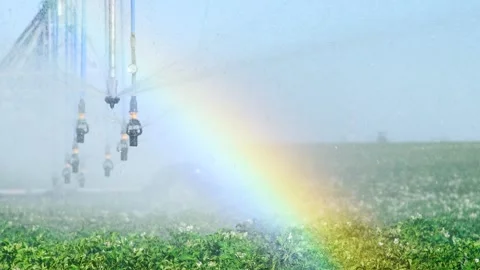 Automatic irrigation system (sprinkler system) that waters plants in a pota.. 库存影片 340063383