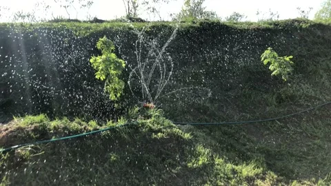 Automatic irrigation system water the grass and plants. 4k slow motion. 動画素材 130066223