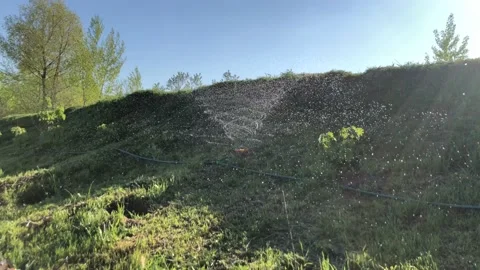 Automatic irrigation system water the grass and plants. 4k slow motion. 動画素材 130066270