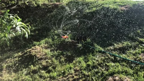 Automatic irrigation system water the grass and plants. 4k slow motion. Stock-Footage 130066297