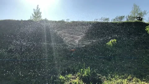 Automatic irrigation system water the grass and plants. 4k slow motion. 動画素材 130066325