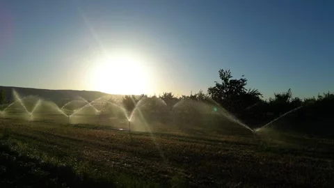 Automatic irrigation systems are used in agricultural fields Vídeos de archivo 278094492