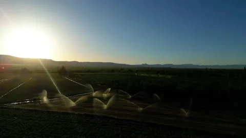 Automatic irrigation systems are used in agricultural fields Stock-Footage 278094661