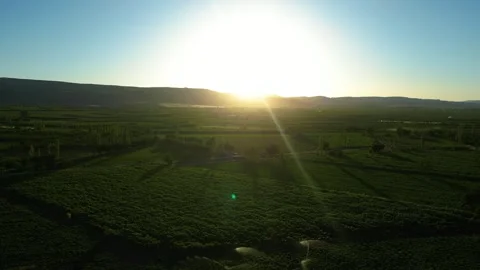 Automatic irrigation systems are used in agricultural fields Видео 278095331