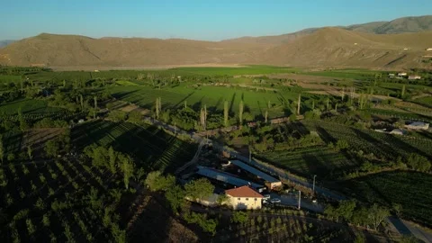 Automatic irrigation systems are used in agricultural fields Stock Footage 278095613