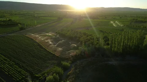 Automatic irrigation systems are used in agricultural fields Видео 278095886