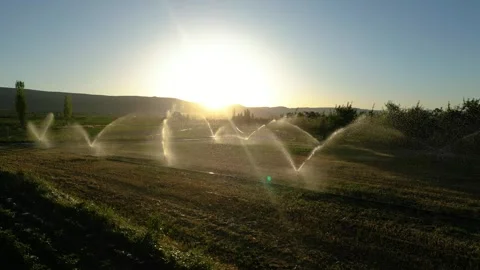Automatic irrigation systems are used in agricultural fields Vidéo 278096509