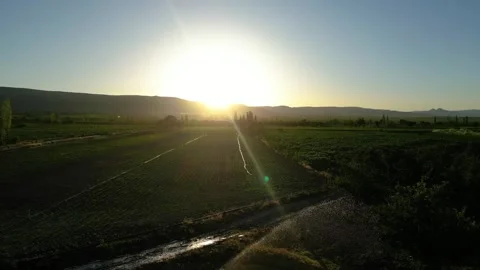 Automatic irrigation systems are used in agricultural fields Видео 278096801