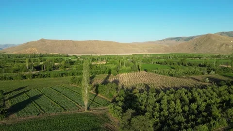 Automatic irrigation systems are used in agricultural fields 動画素材 278097366