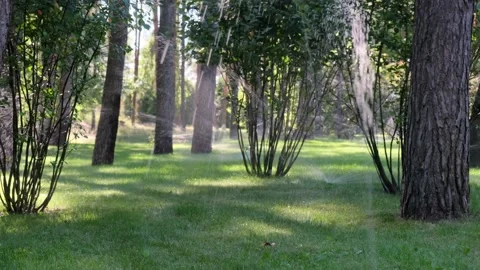 Automatic irrigation. Water jets pour green fresh lawn on sunny summer day in Vídeo Stock 146082844