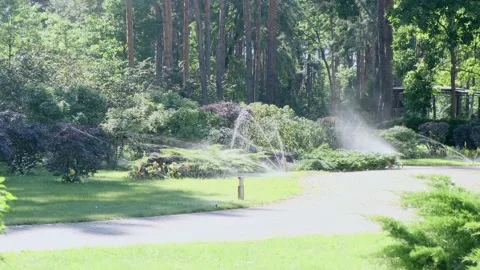 Automatic irrigation. Water jets watering green fresh lawn, bushes and trees 스톡 동영상 146280206